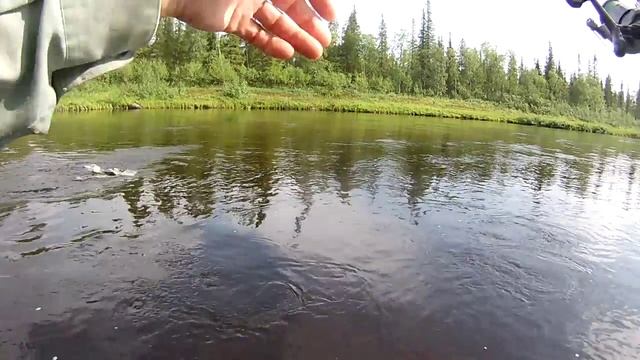 Путешествие по Кольскому полуострову. Часть шестая. Река Афанасия..