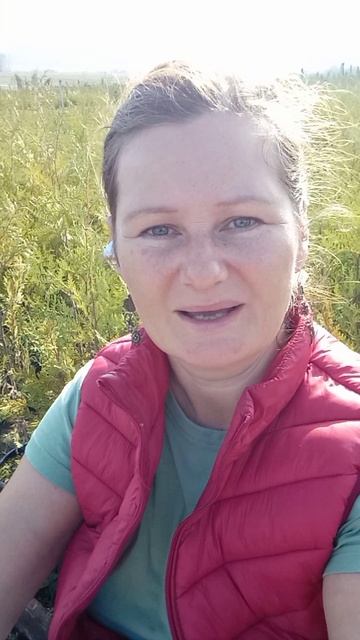 Депрессия. Простые рекомендации