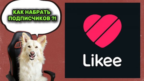 Как набрать просмотры и подписчиков в Likee 🐾🤓 #обучение #лайк #блог #блогинг #соцсети #likee