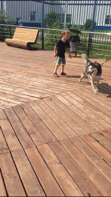Милу. Видео к вебинару 