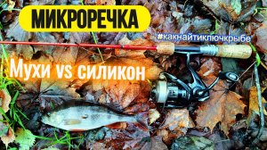 #мормышинг | Микро речка | Окуни и бель в ноябре|