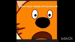 Мини PYTP три кота приколы