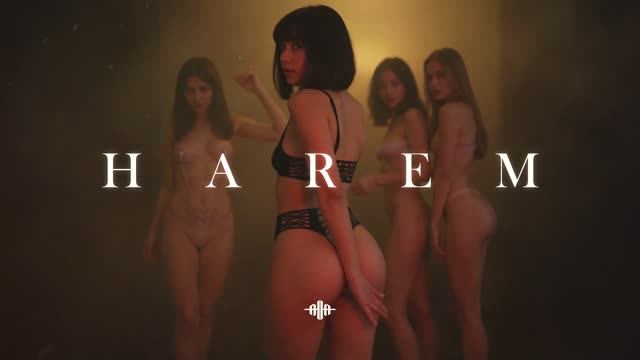 Aim To Head | Exotic Dark Techno _ Ethnic Bass House _ Dark Exotic Mix 'HAREM'