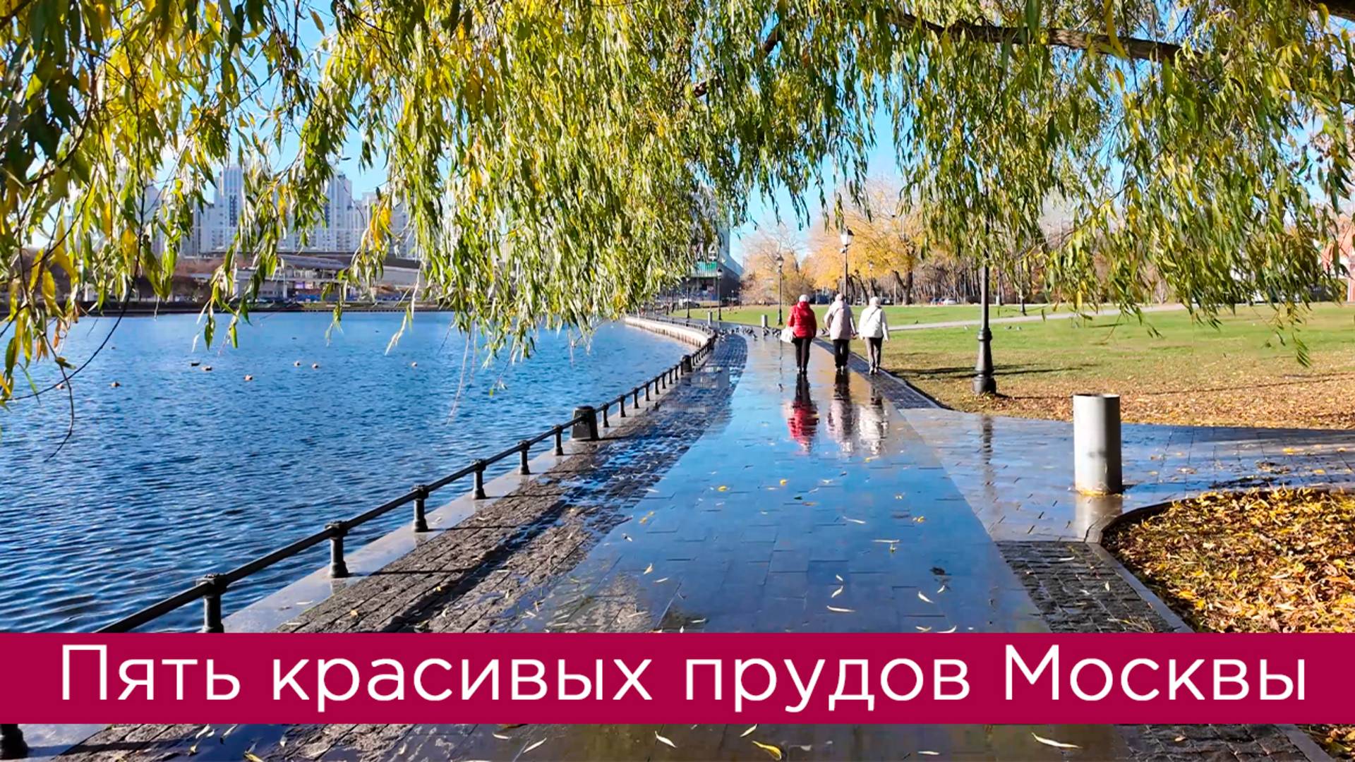 Пять красивых прудов Москвы смотреть онлайн