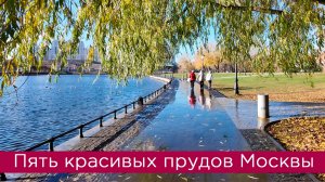 Пять красивых прудов Москвы