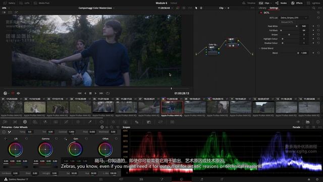 6 DCTLs Usage смотреть онлайн