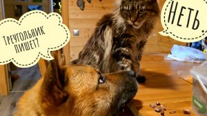 Кладём хрустелки в хрустелкоприёмник Пса Кубика. Утром нас снова навестил лось Степан