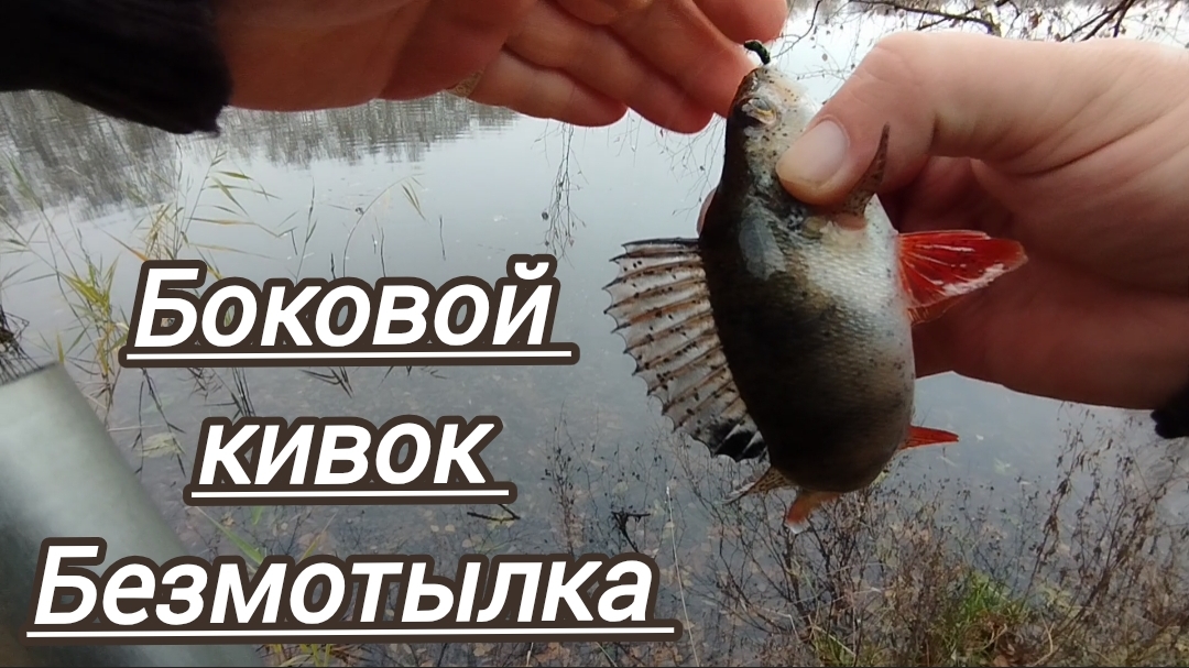 БОКОВОЙ КИВОК НОЯБРЬ РЫБАЛКА НА МОСКВЕ РЕКЕ смотреть онлайн