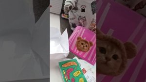 Что нужно для басика
