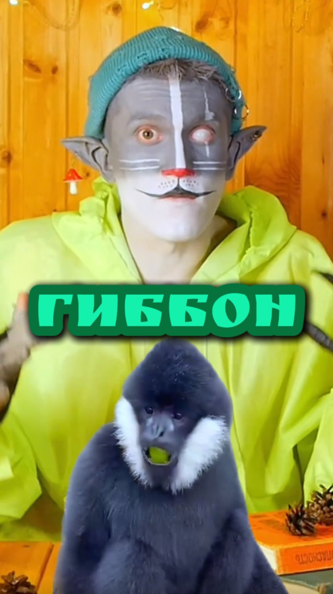 Кот Учёный и Гиббон 🙉 смотреть онлайн