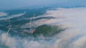 Музыка лечит сердце и сосуды🌿 Успокаивающая музыка восстанавливает нервную систему, расслабляет