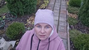 Осенняя прогулка 30.10.25г.🍁Покупка для сада.🍂 Ленобласть.🍁Топлю печь-камин на даче.🔥