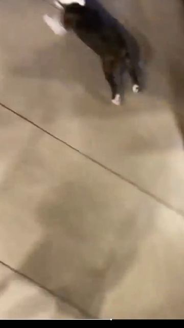 Бульки. смотреть онлайн