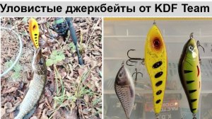 Джерки от KDF