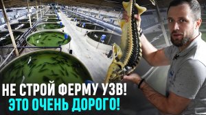 НЕ НАЧИНАЙТЕ РЫБОВОДНЫЙ БИЗНЕС! Пока Не Посмотрите Это Видео...