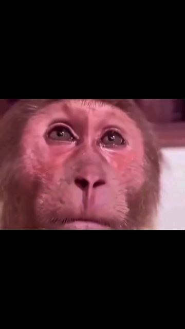 Когда тебе сказали уходи на уразу меня все бесит я ухожу