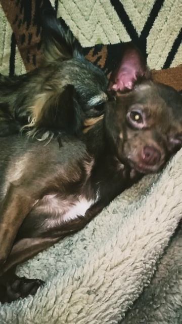 Девчонки спят... 10 ноября 2025 г. смотреть онлайн