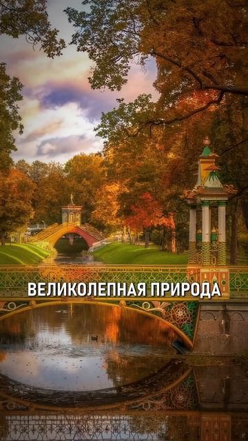 3 ЛУЧШИХ ПРИГОРОДА Санкт-Петербурга в 2026 году! смотреть онлайн