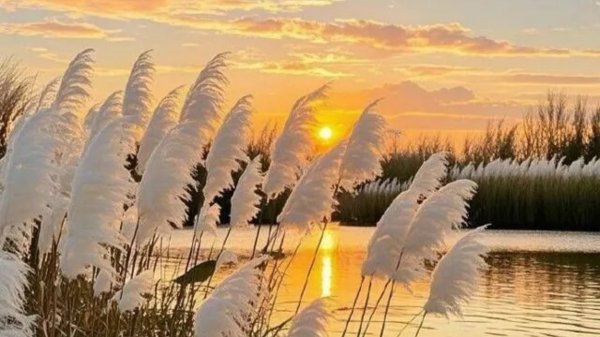 🎼. RASELHITS - «LOVE IS YOU»