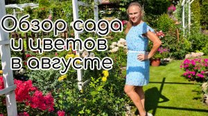 Обзор сада и цветов в начале августа. Какие цветы радуют. Названия сортов