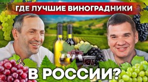 Как развить виноградник в России сегодня: опыт фермеров из Дагестана | Виноградарство, виноделие