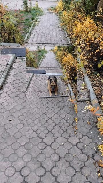 Гера уже в возрасте