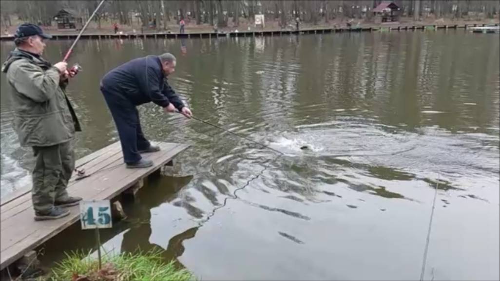 Сегодня неплохо работают закидушки. Клёвое место, Лосиный остров, верхний водоём. смотреть онлайн