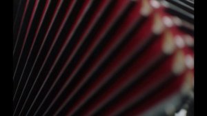 Кешачеловекгода