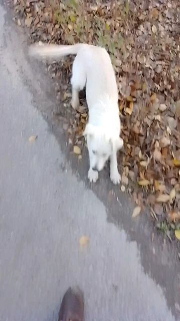 Прогулка по городу