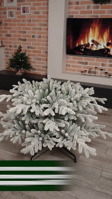 09-Астра заснеж 190 (б) RC1