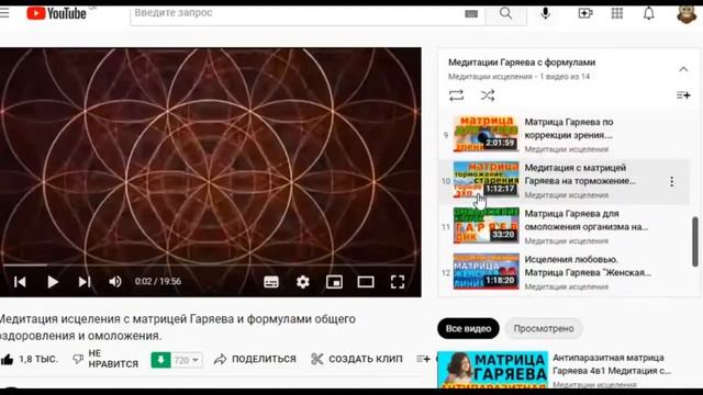 Гаряев-Матрицы.РФ__Инструкция эффективного и безопасного использования универсальных матриц. Как смотреть онлайн
