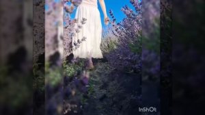 Песня ЕСЛИ В ЖИЗНИ ЧТО-ТО ПОЙДЁТ НЕ ТАК