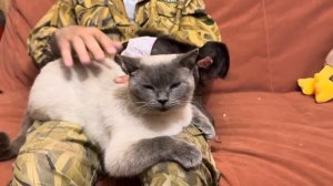 СМЕХ до СЛЕЗ! Анфиса налаживает контакт с котом Басиком)))