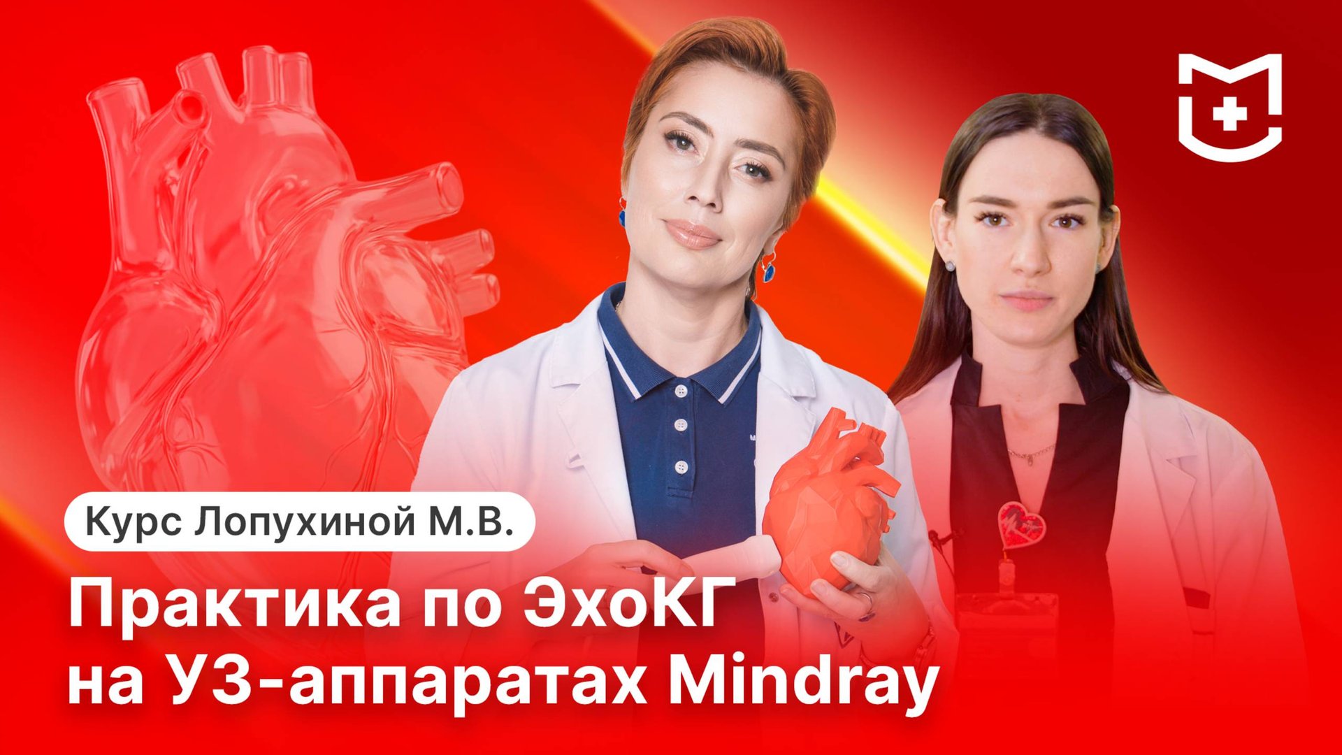 Стажировка в MEDLIGA: как врачи осваивали ЭхоКГ на практике?