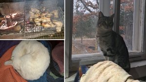 Деревня. Убираемся на огороде и в доме. Вкусный ужин для мамы