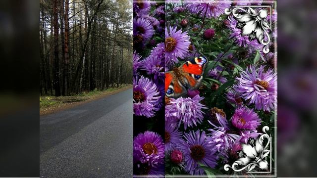 КОРОЛЁВ ОСЕНЬ 2025