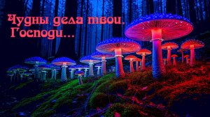 чудны дела Твои, Господи....