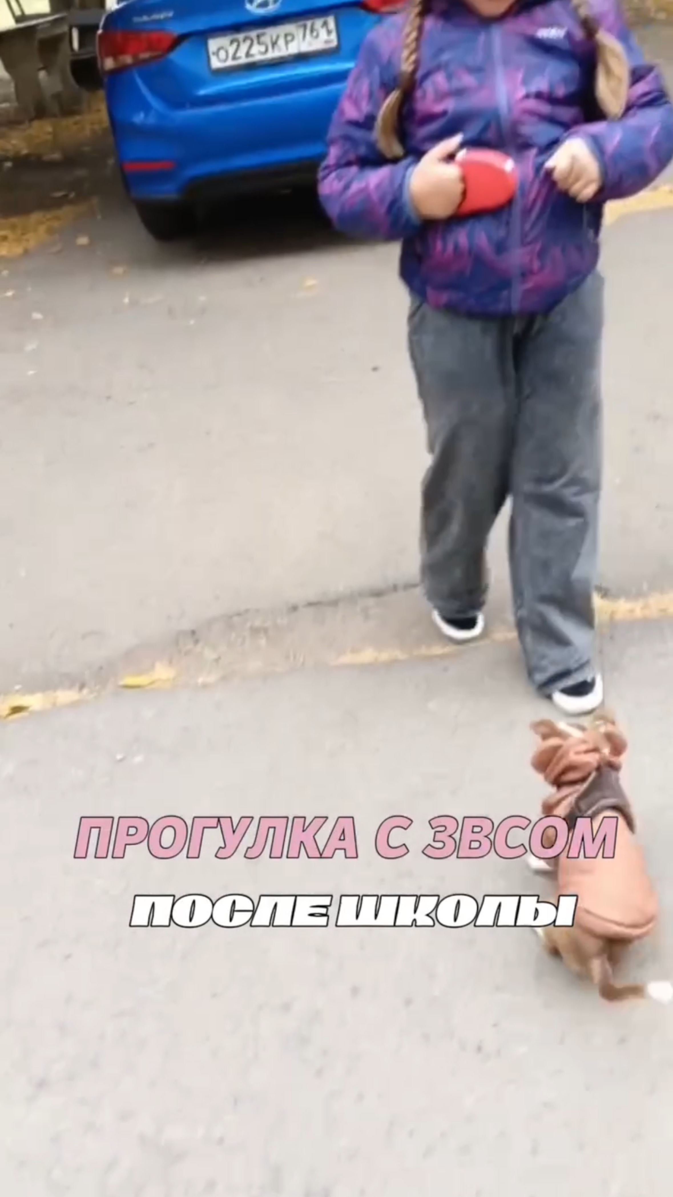 Прогулка с Зевсом после школы смотреть онлайн