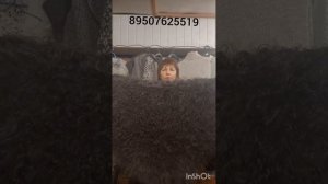 111125  Пуховые косынки