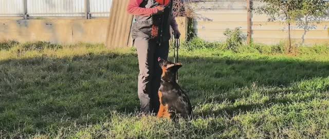 Баларис СОЛНЦЕ, 3 месяца 26 дней. смотреть онлайн