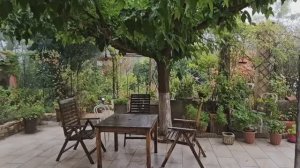 19-23 октября, 2025/ Дожди, Павлова и Зефир. Крио-массаж  лица.