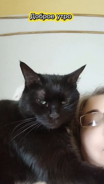 lv_0_20251111150316 смотреть онлайн