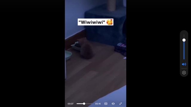 Как мила смотреть онлайн