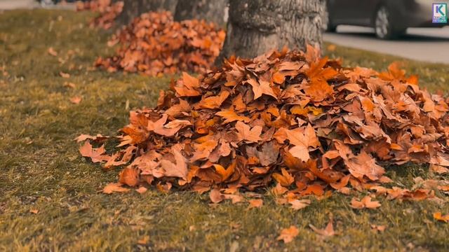 Ежедневно на улицы Керчи выходят более 200 дворников смотреть онлайн