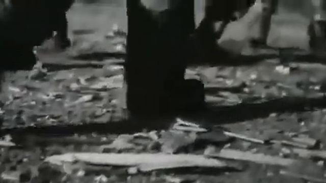 «Русские, вперед!» — фанаты «Зенита» сделали мощный клип о том, за что сражается русский человек.