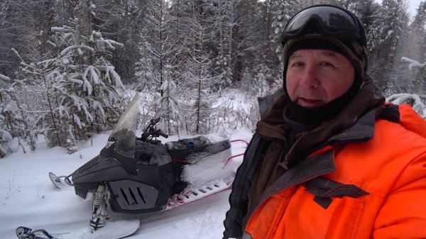 ТУНГУС БУДЕТ ЖИТЬ В ЛЕСУ!!!