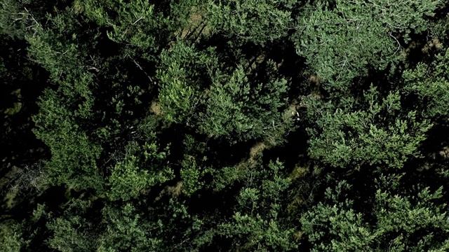 Весна в Калининградской области