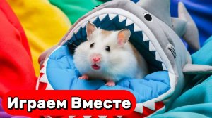ЛАБИРИНТ С ЛОВУШКАМИ И МОНСТРАМИ ДЛЯ УМНОГО ХОМЯКА №3 🐹 ВИДЕО ПРО ХОМЯКА ДЛЯ ДЕТЕЙ