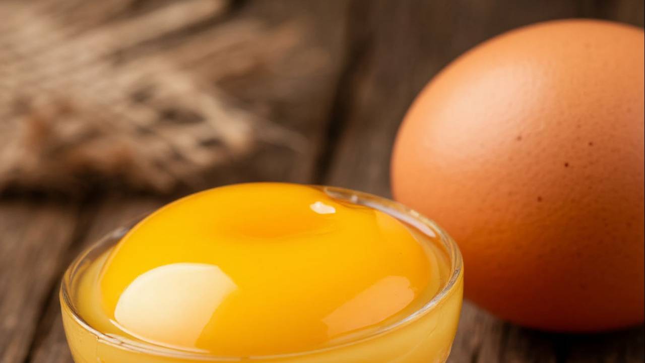 Яичное масло против ожогов и ран. смотреть онлайн