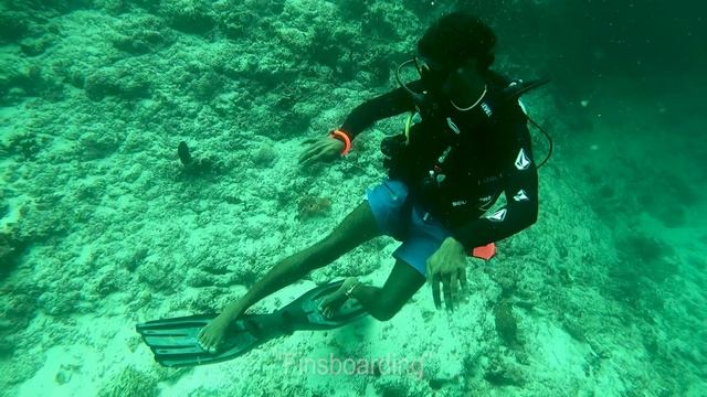 Maldives finsboarding